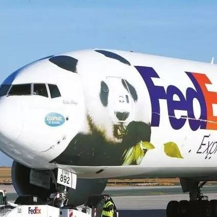 Ekspresowa dostawa do Francji Ups DHL Fedex Od drzwi do drzwi Wysyłka międzynarodowa