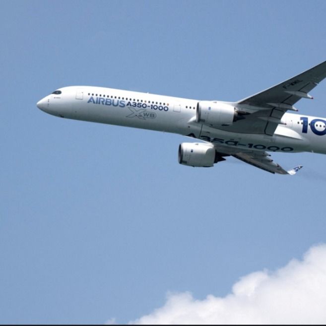 FOB FBA Fcl Usługa transportu morskiego Wysyłka z Chin do Wielkiej Brytanii Niemcy Air Cargo Agent Przewoźnik transportowy