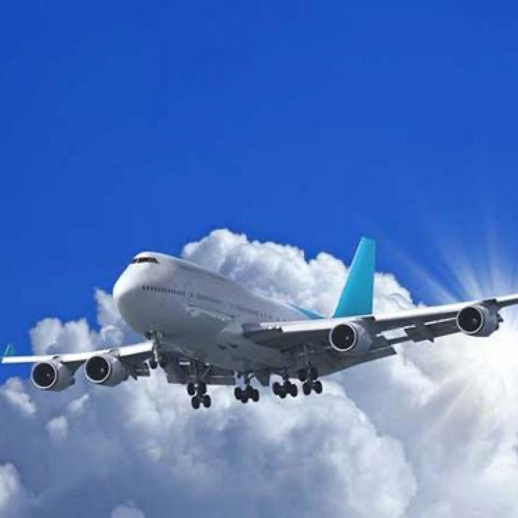 Magazynowanie Logistyka Międzynarodowa FEDEX DDP DDU Od drzwi do drzwi Z Szanghaju w Chinach do Malezji